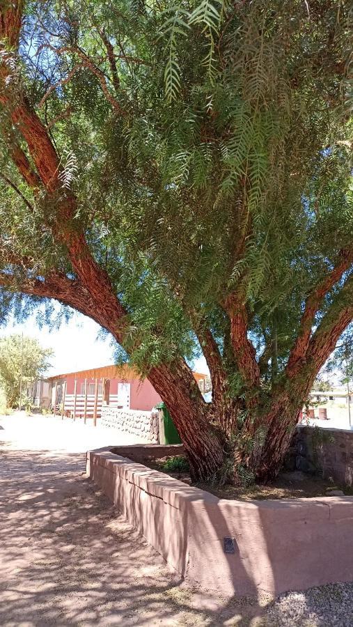 Lodge Don Felix San Pedro de Atacama Eksteriør billede